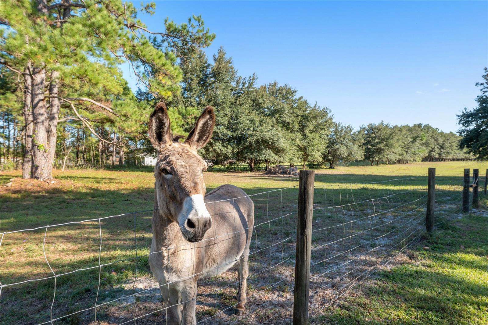 Image 44 of 57 For 760 Barney Street