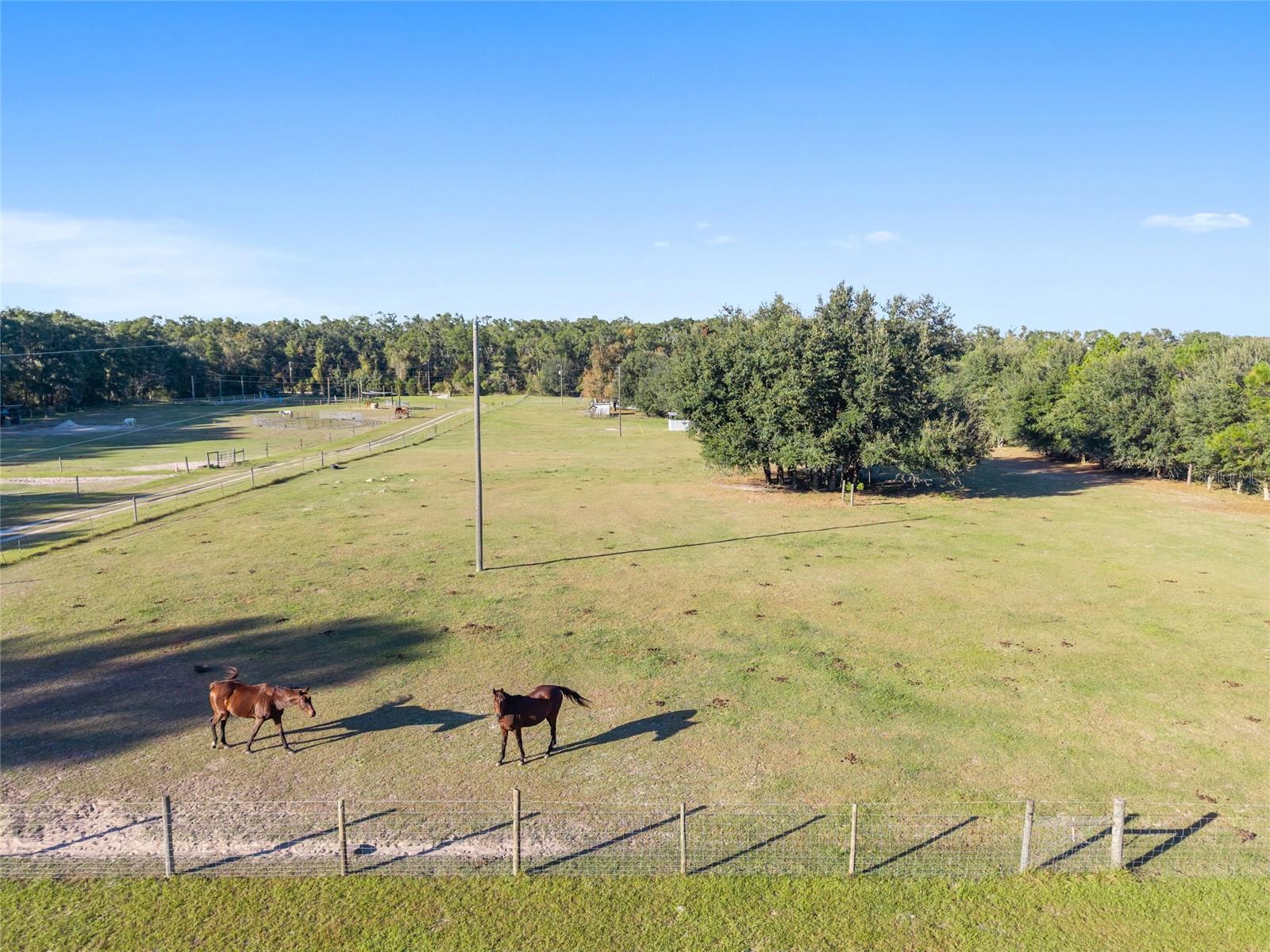 Image 55 of 57 For 760 Barney Street