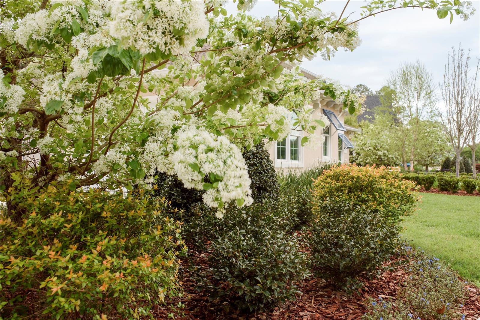 Image 51 of 100 For 3841 69th Avenue