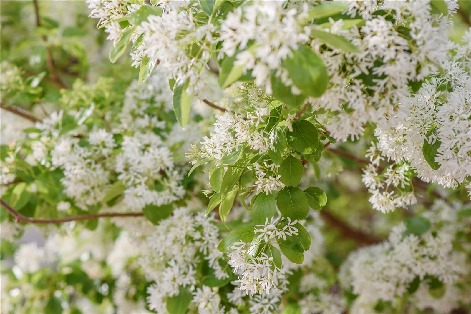 Image 54 of 100 For 3841 69th Avenue