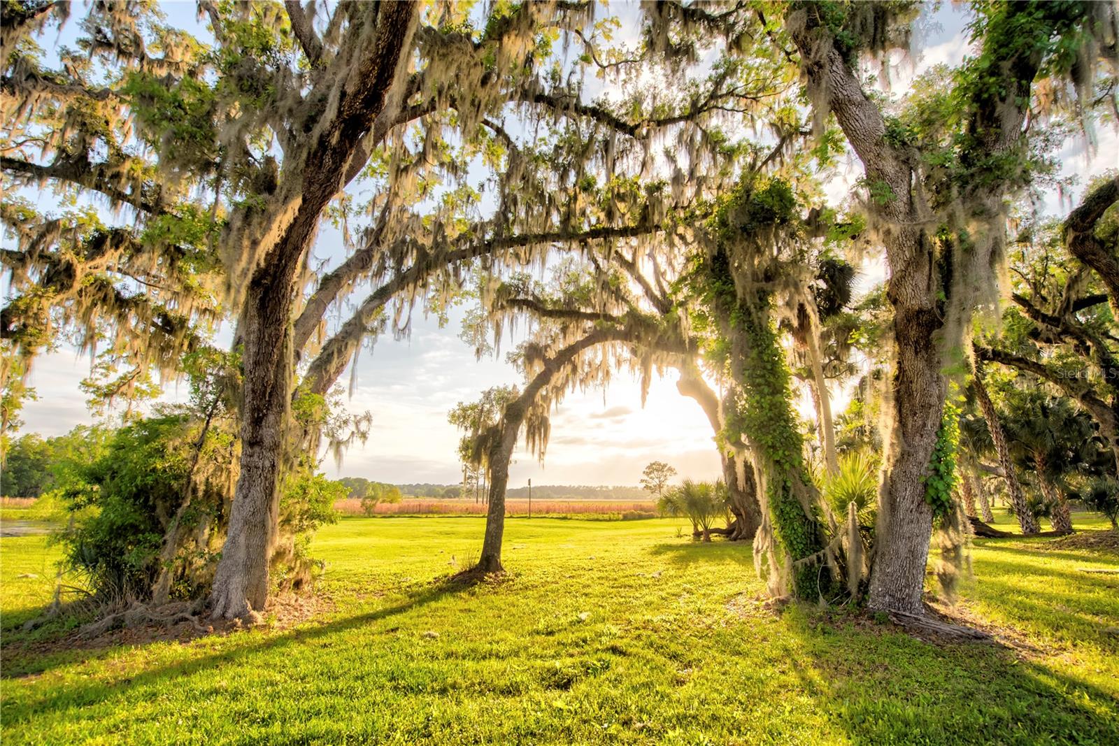 Image 61 of 100 For 3841 69th Avenue