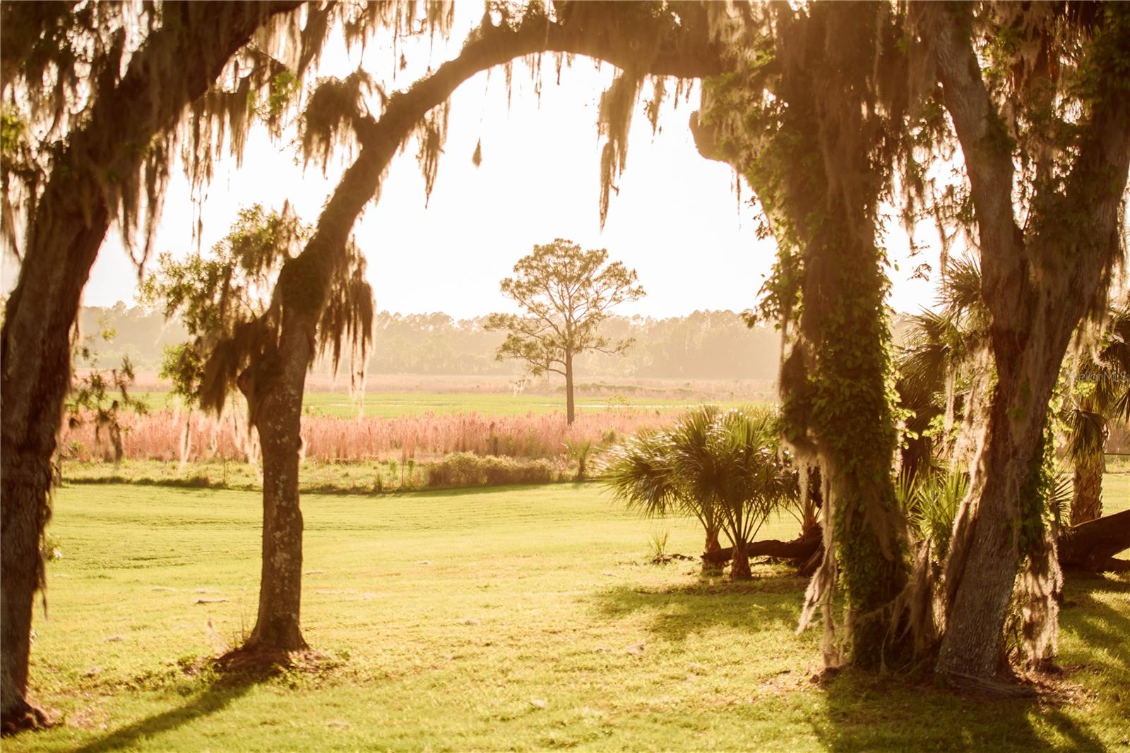 Image 64 of 100 For 3841 69th Avenue