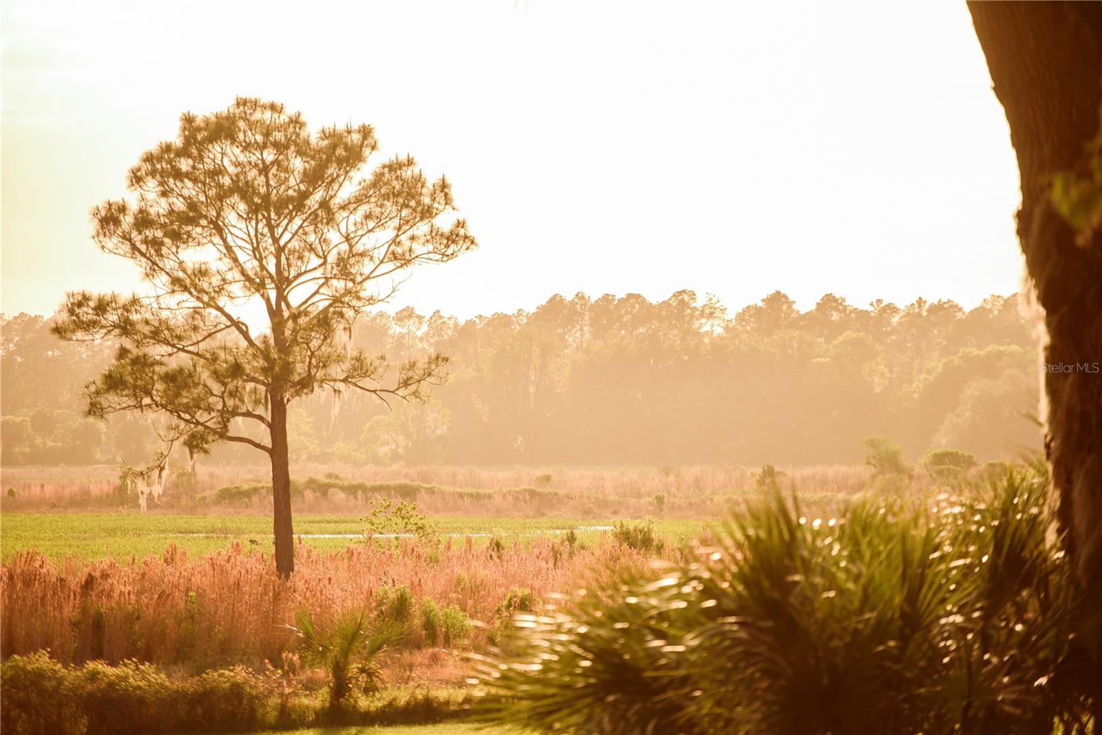 Image 65 of 100 For 3841 69th Avenue