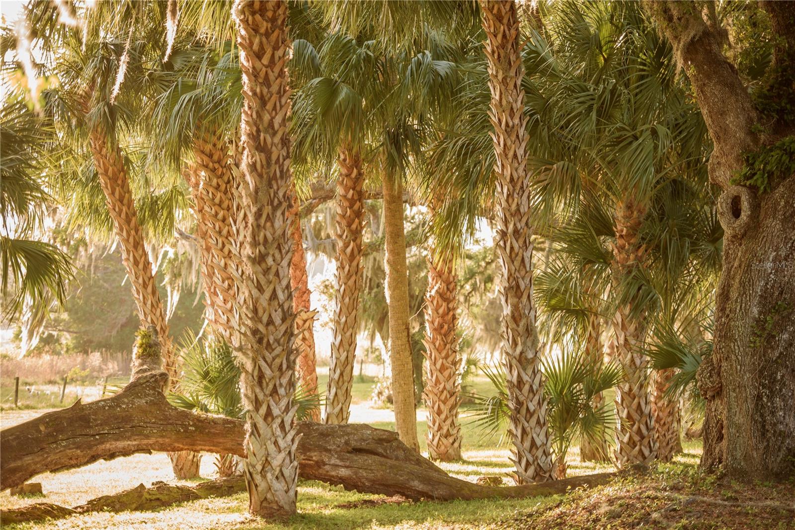 Image 66 of 100 For 3841 69th Avenue