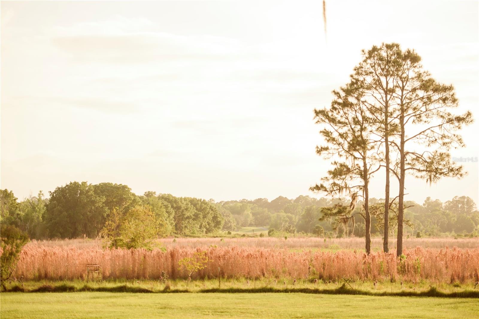 Image 67 of 100 For 3841 69th Avenue