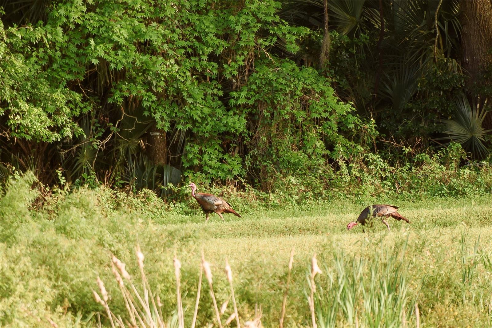 Image 68 of 100 For 3841 69th Avenue