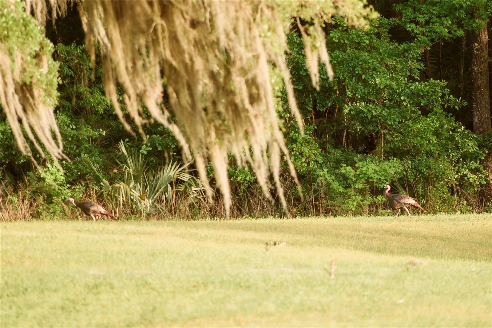 Image 69 of 100 For 3841 69th Avenue