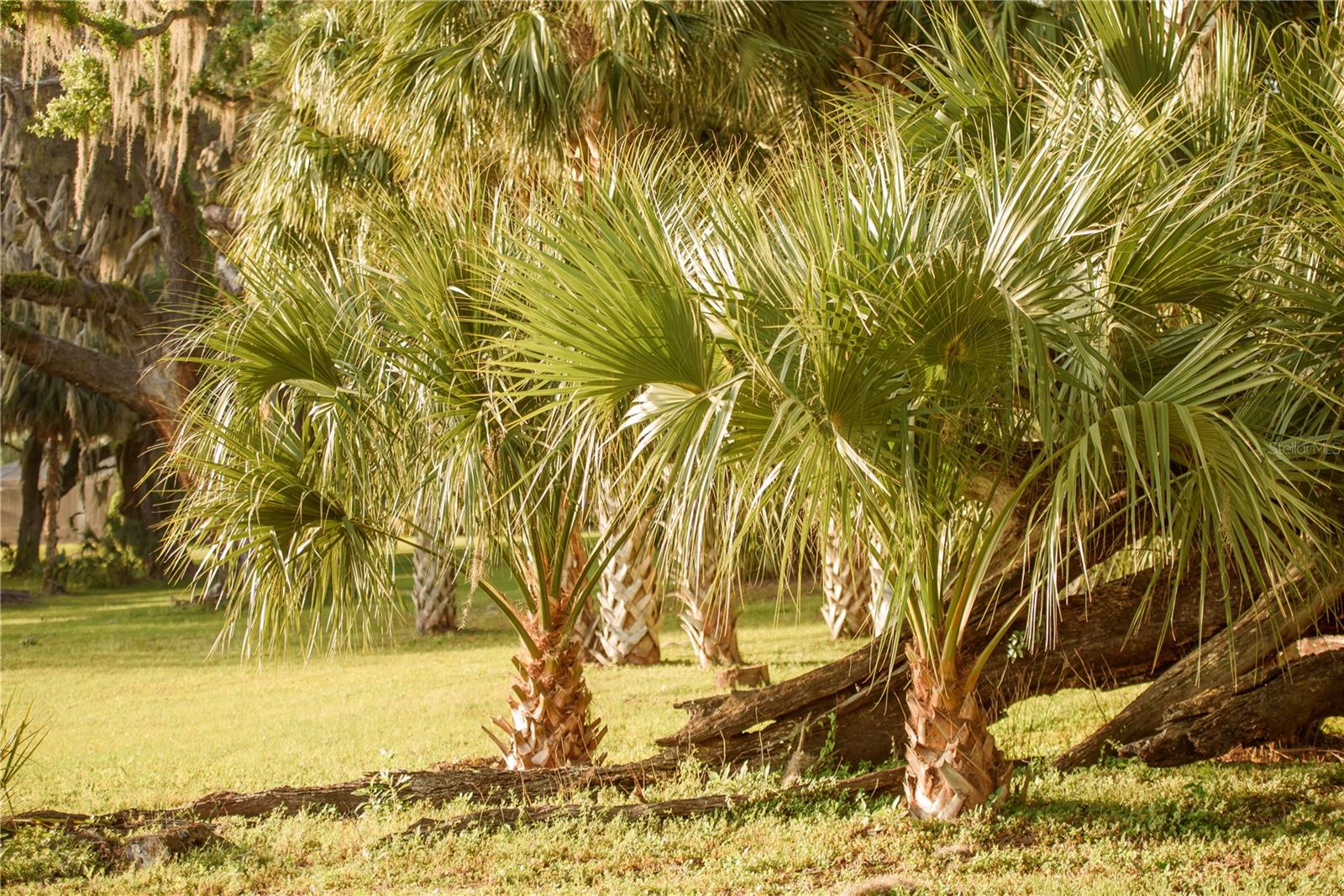 Image 70 of 100 For 3841 69th Avenue