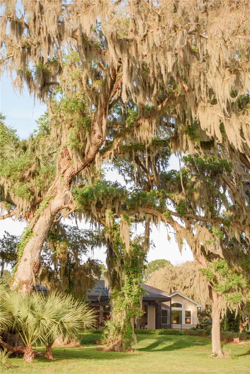 Image 72 of 100 For 3841 69th Avenue