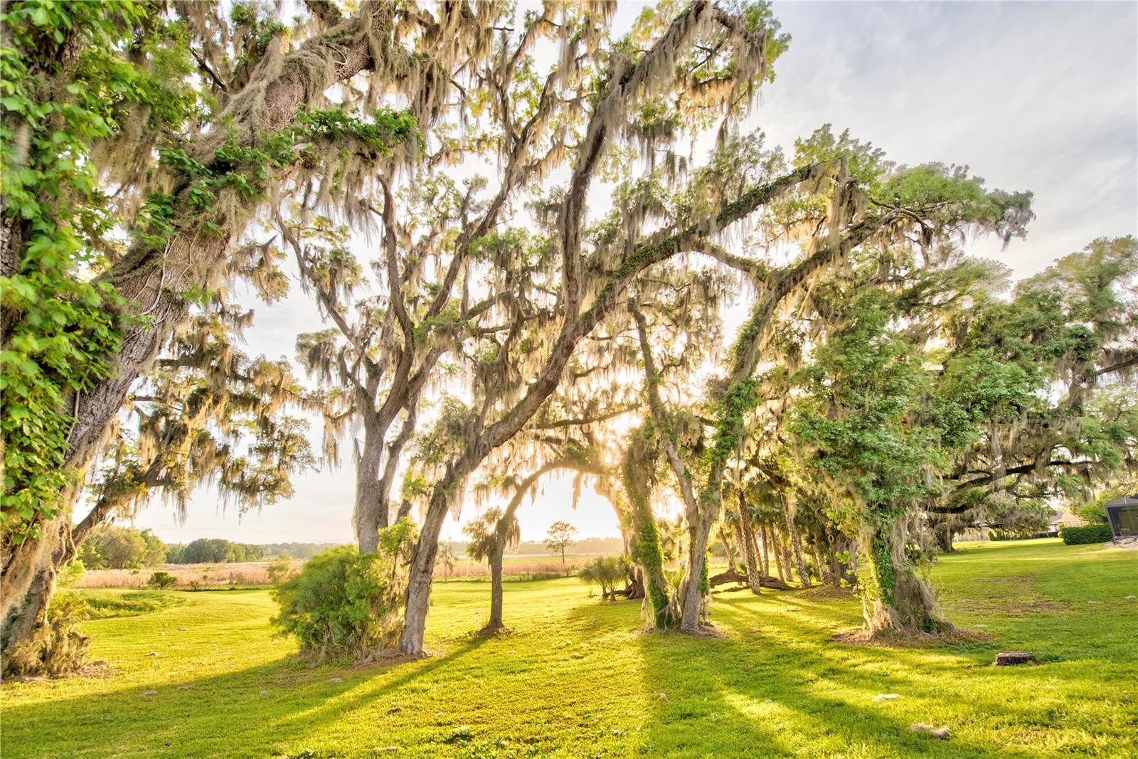 Image 74 of 100 For 3841 69th Avenue