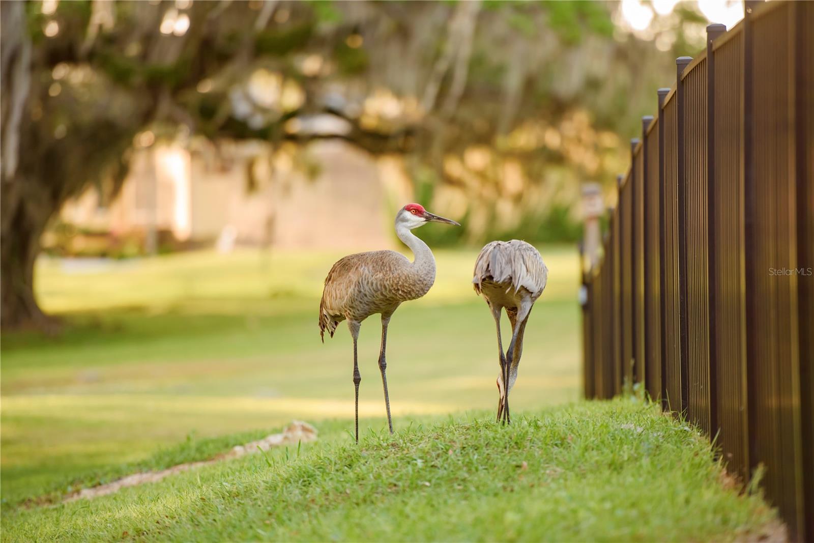 Image 78 of 100 For 3841 69th Avenue