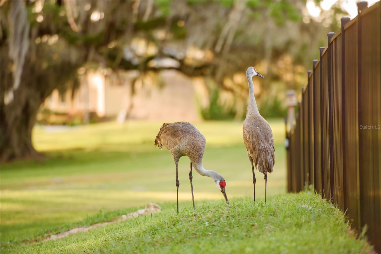 Image 79 of 100 For 3841 69th Avenue