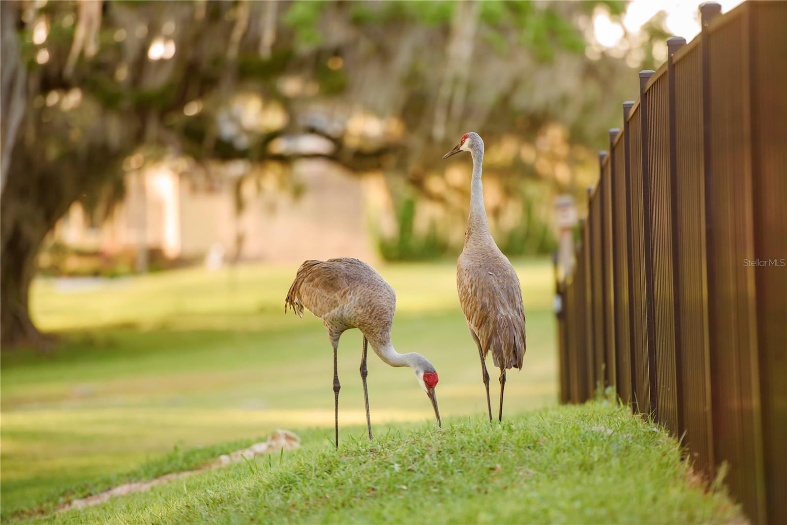 Image 80 of 100 For 3841 69th Avenue
