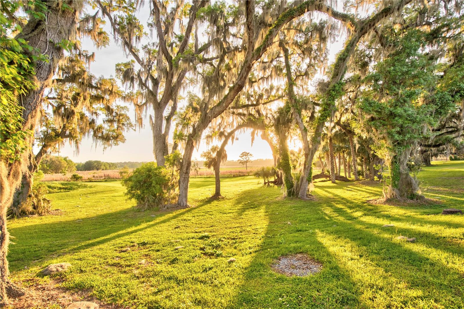 Image 86 of 100 For 3841 69th Avenue