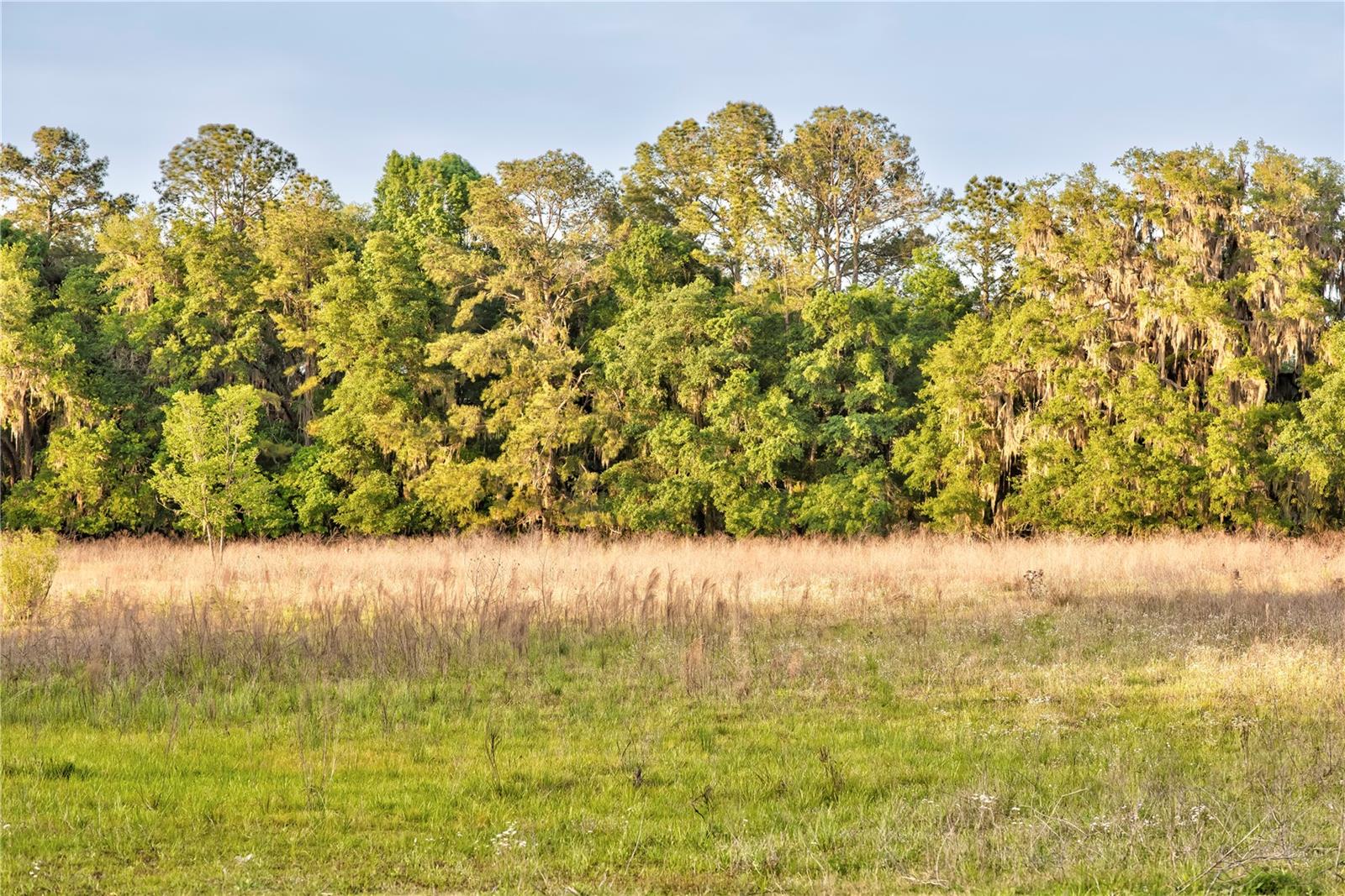 Image 87 of 100 For 3841 69th Avenue