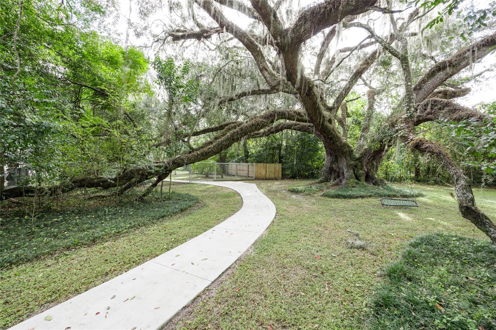 Image 67 of 67 For 7911 36th Avenue