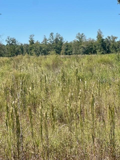 Image 5 of 7 For  35th Ave  