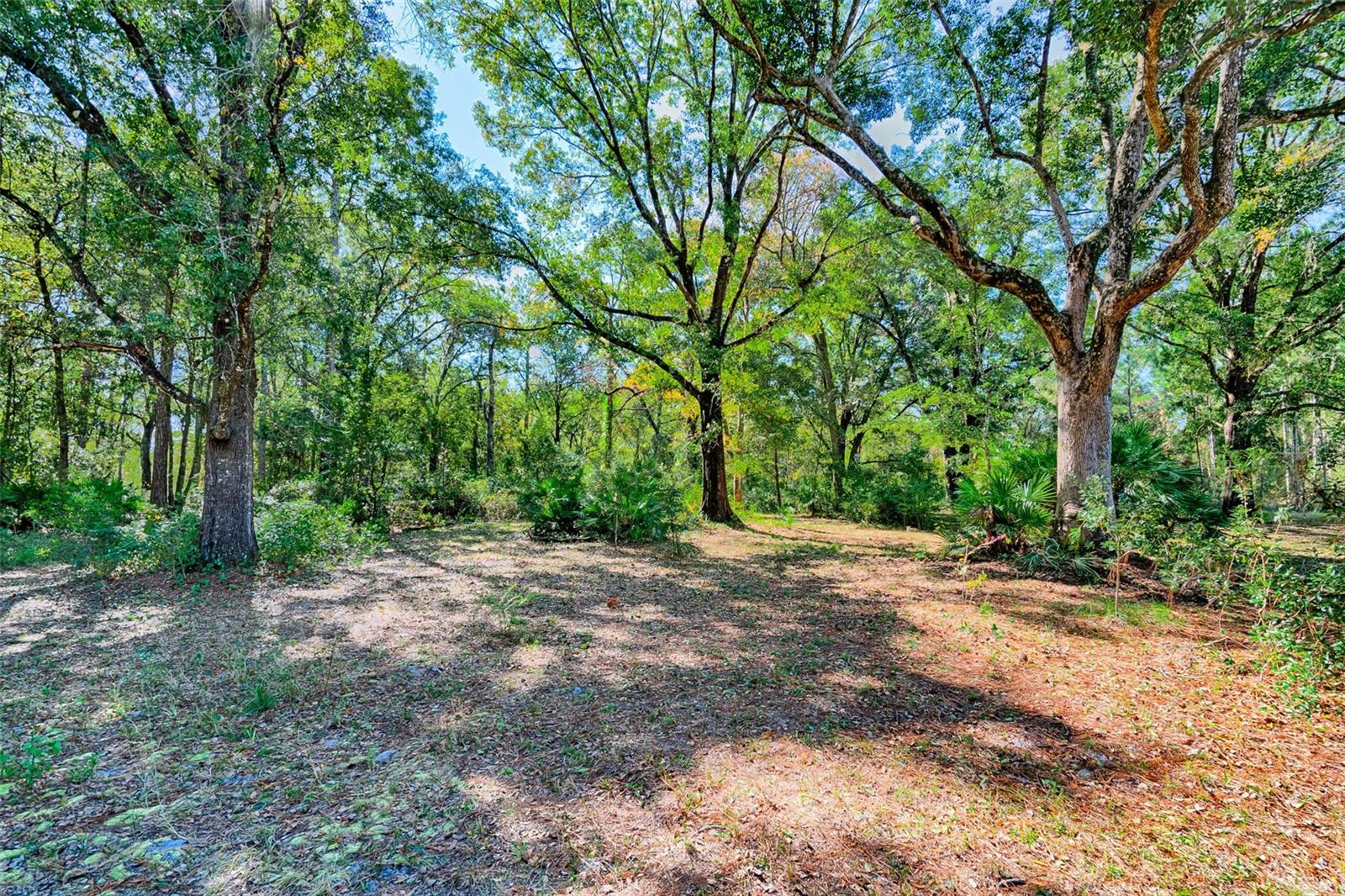 Image 31 of 49 For 17213 Cr Rd 1475