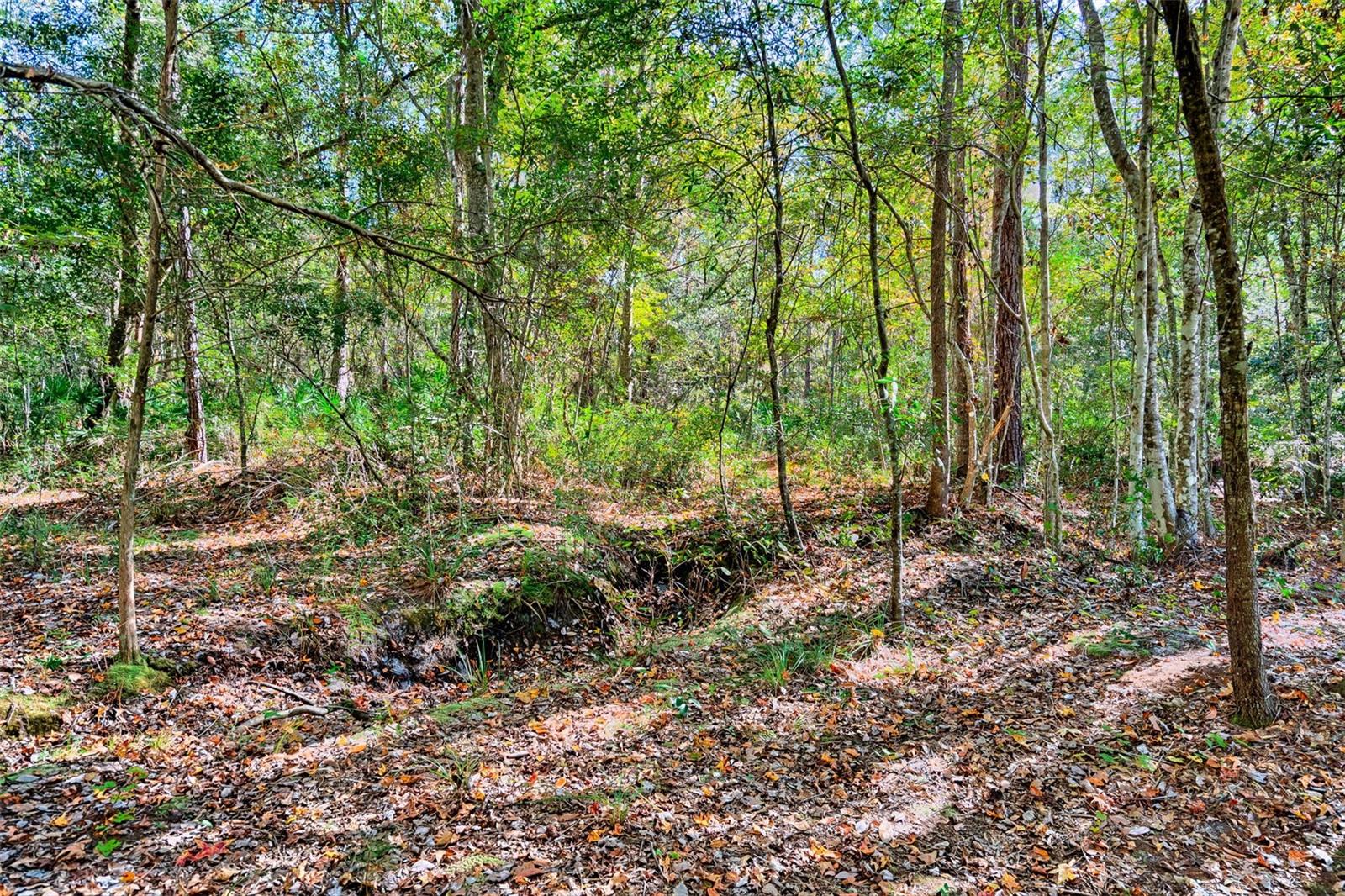 Image 32 of 49 For 17213 Cr Rd 1475