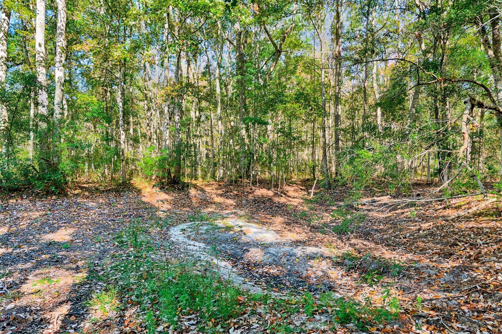 Image 33 of 49 For 17213 Cr Rd 1475