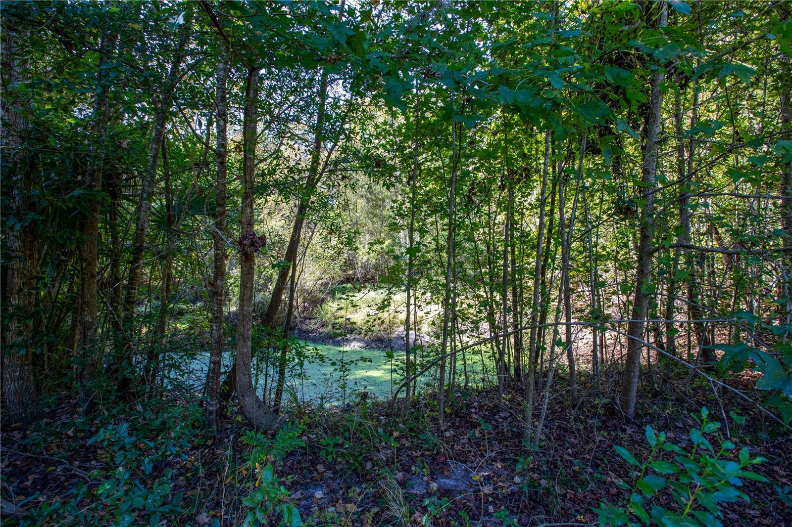 Image 26 of 40 For 576 Mayhall Terrace