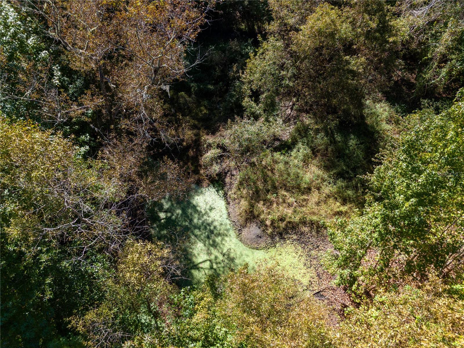 Image 39 of 40 For 576 Mayhall Terrace