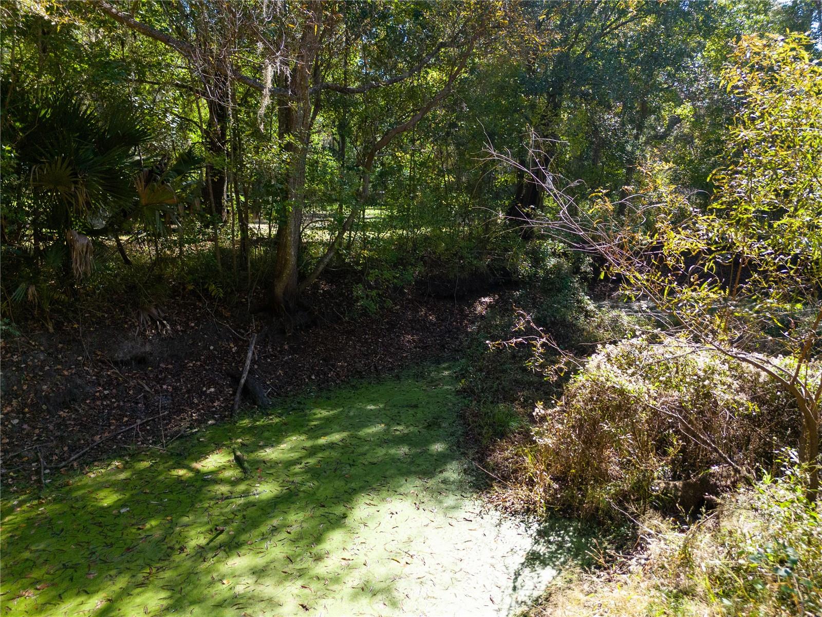 Image 40 of 40 For 576 Mayhall Terrace