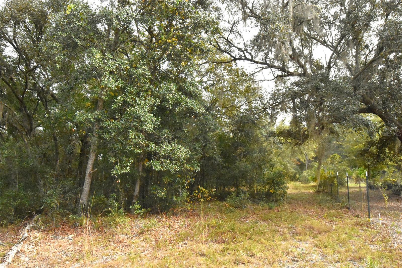 Image 47 of 63 For 126 Terrell Street