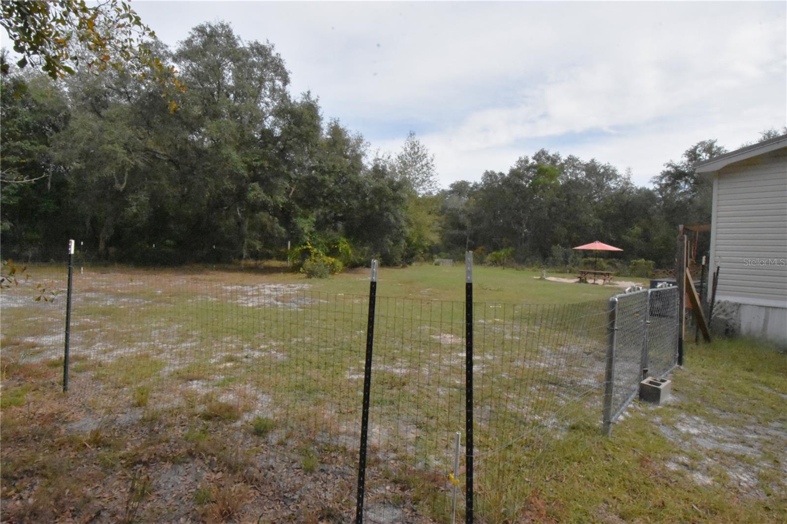 Image 48 of 63 For 126 Terrell Street