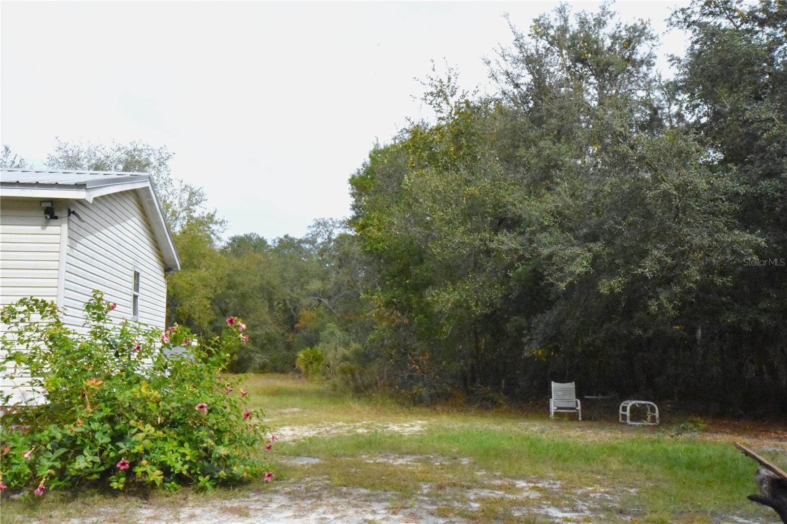 Image 50 of 63 For 126 Terrell Street