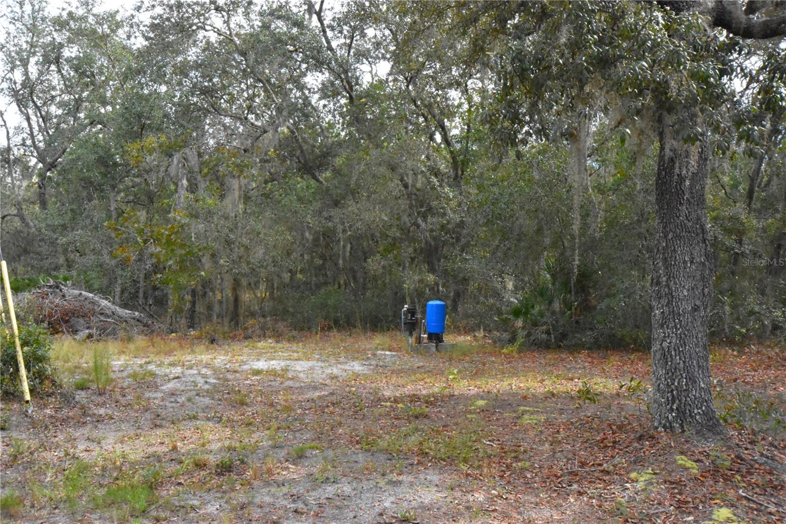 Image 51 of 63 For 126 Terrell Street