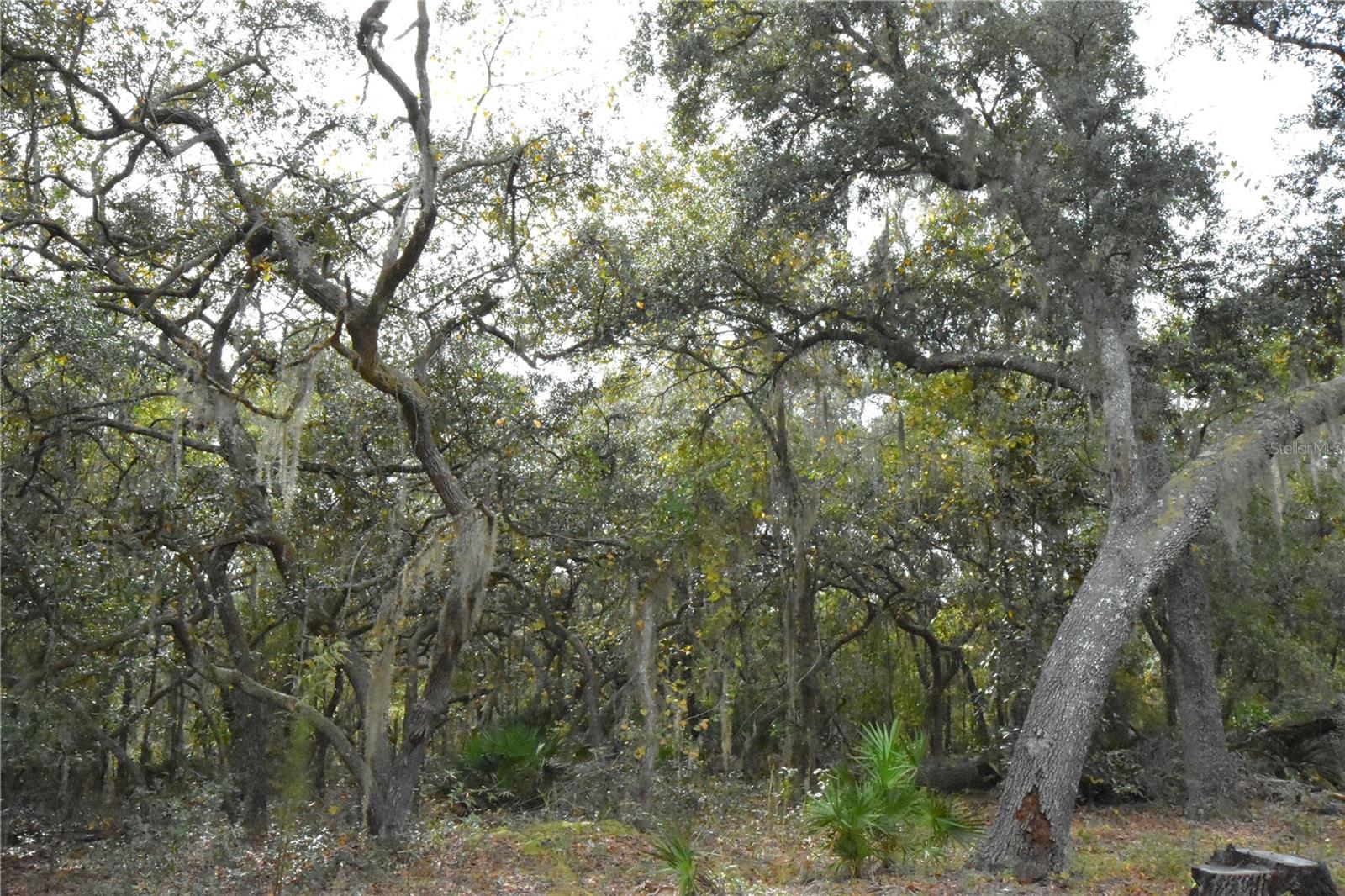 Image 53 of 63 For 126 Terrell Street