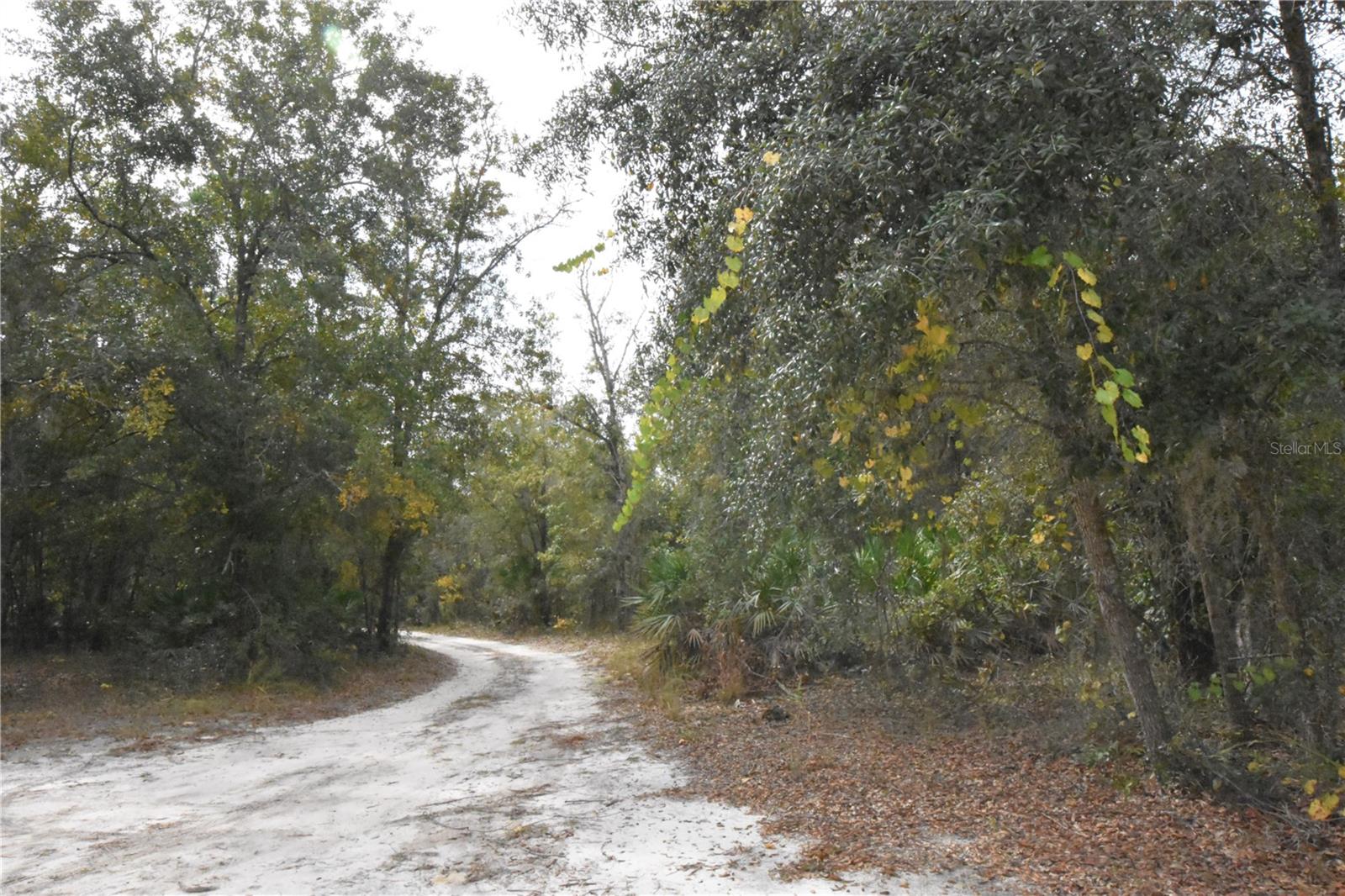 Image 55 of 63 For 126 Terrell Street