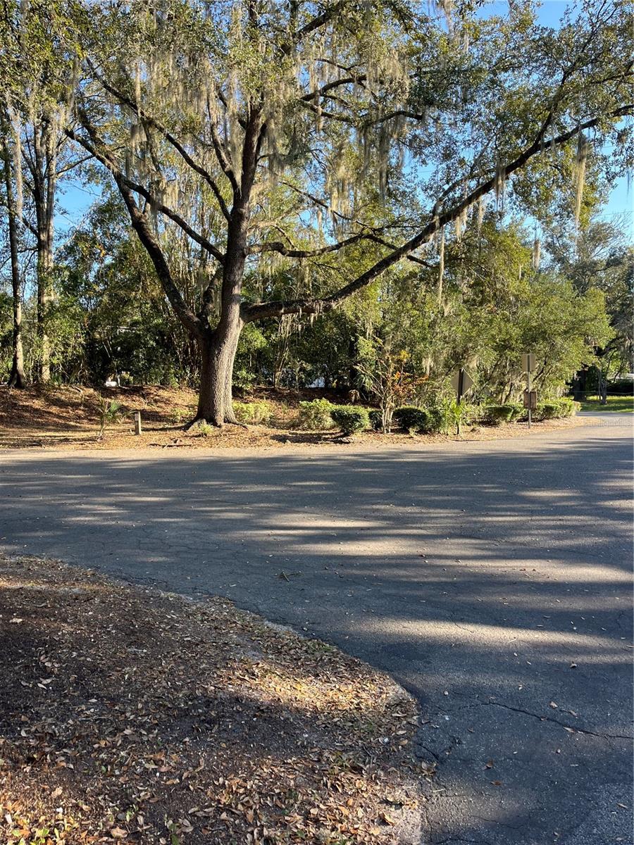 Image 5 of 5 For 3426 37th Avenue 3426