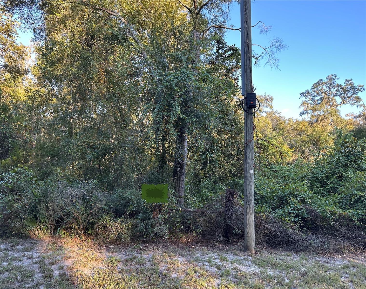 Details for Ooo 923rd Street, OLD TOWN, FL 32680