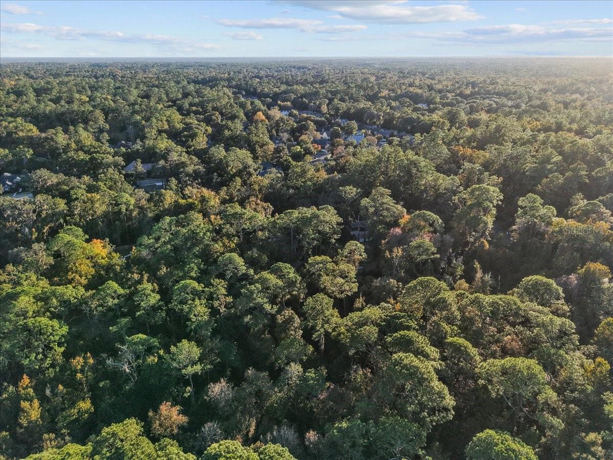 Image 46 of 49 For 5609 53rd Court