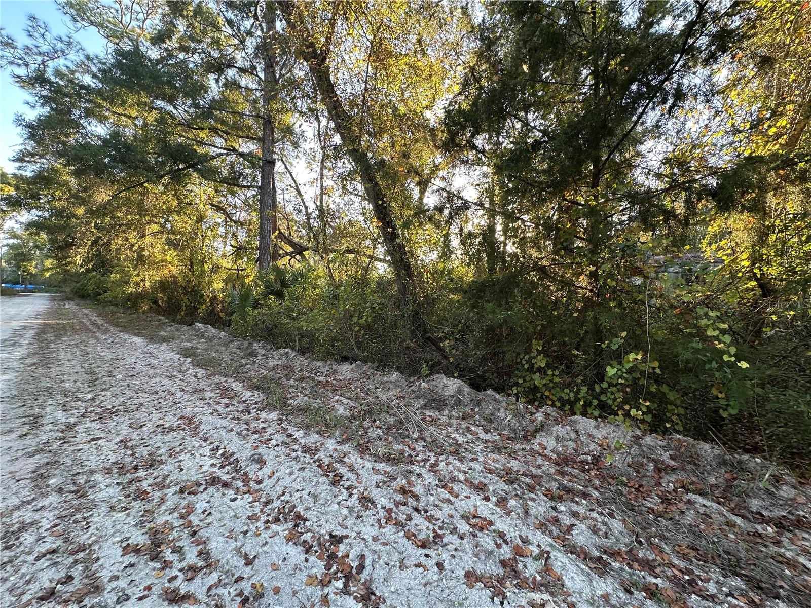 Details for 000 926th Street, OLD TOWN, FL 32680