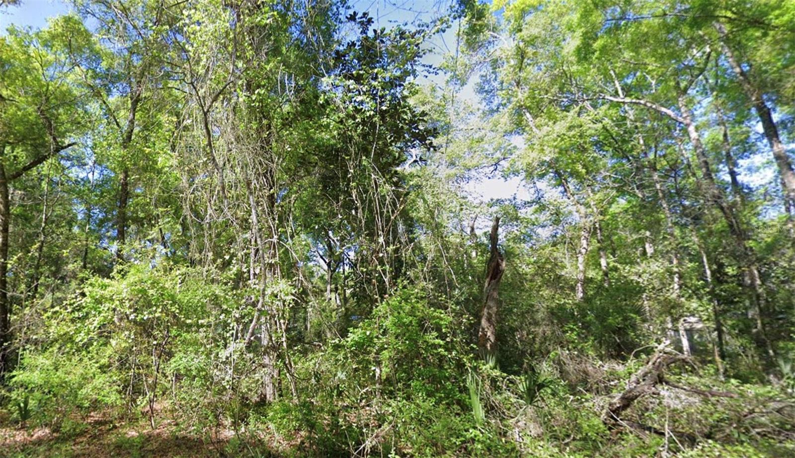 Details for Tbd 926th St Street, OLD TOWN, FL 32680