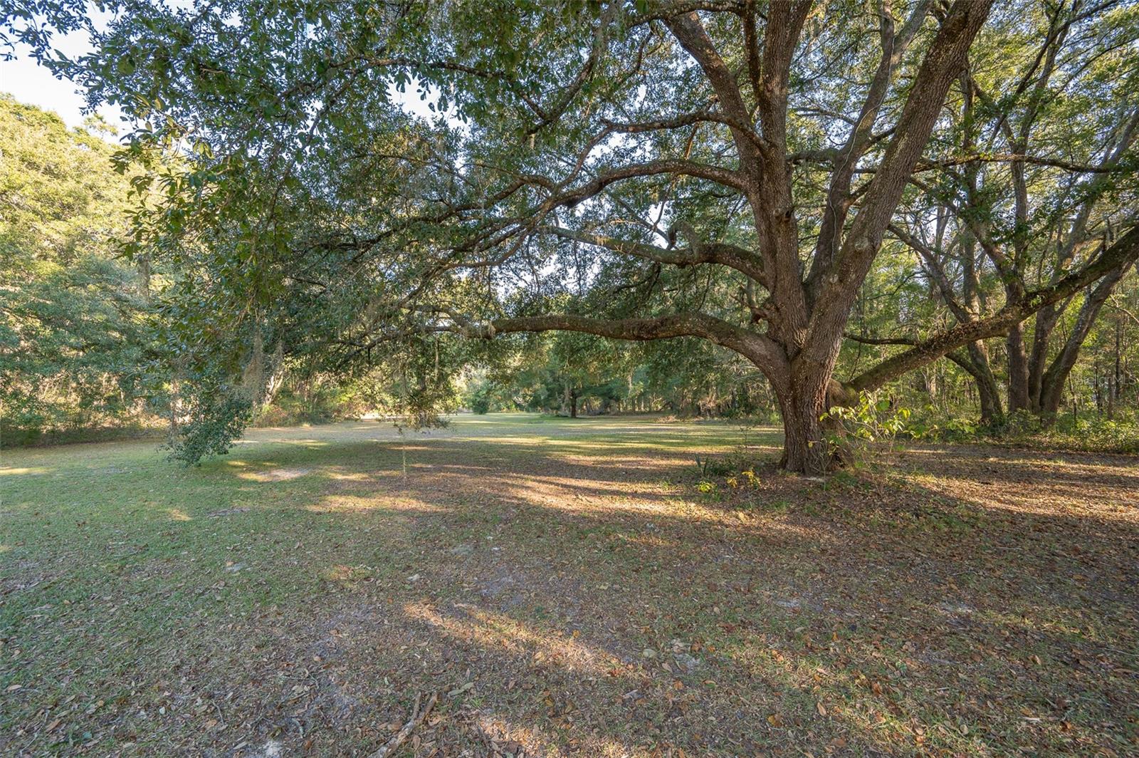 Image 37 of 39 For 10117 170th Street