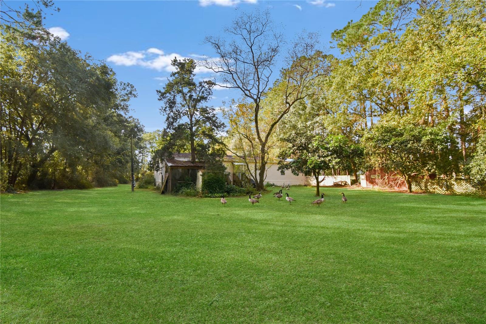 Image 10 of 13 For 11595 Normandy Boulevard