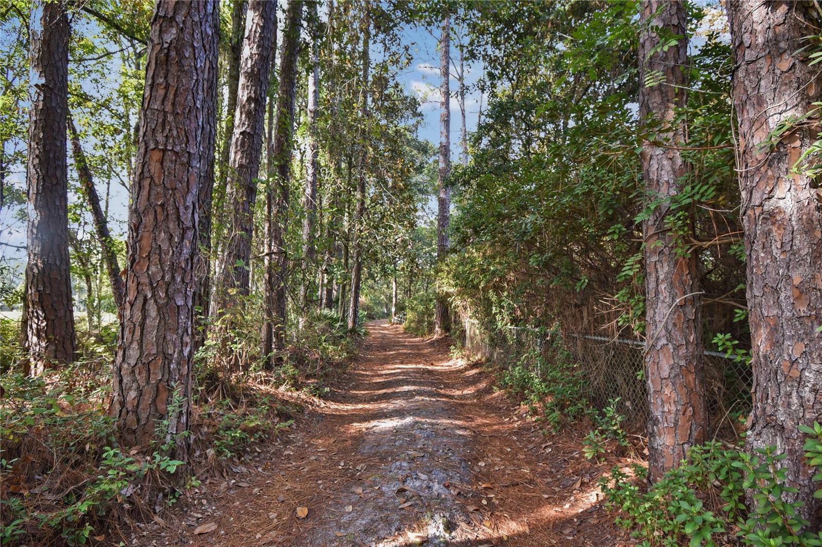 Image 11 of 13 For 11595 Normandy Boulevard