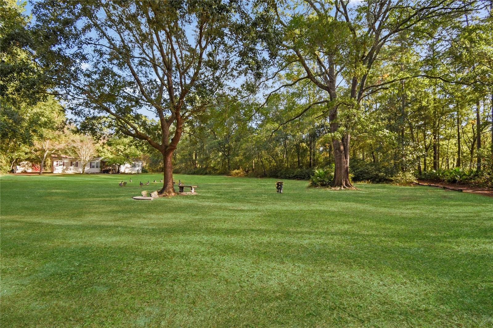 Image 3 of 13 For 11595 Normandy Boulevard