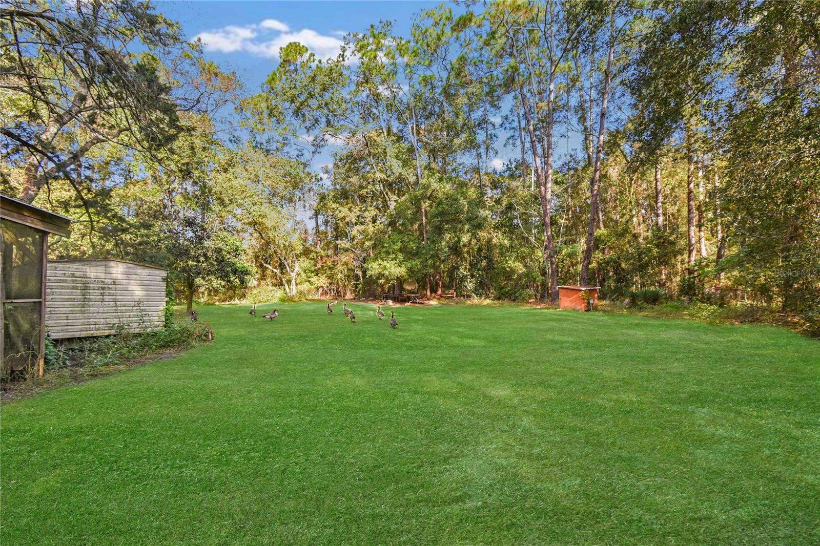 Image 9 of 13 For 11595 Normandy Boulevard