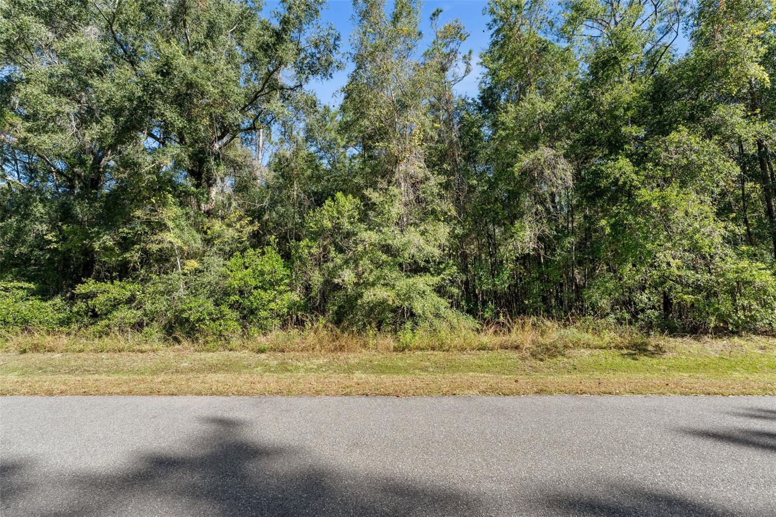 Image 12 of 25 For 18928 21st Place