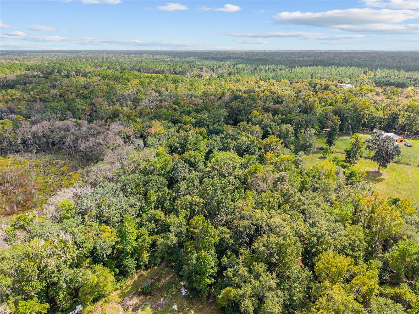 Image 10 of 38 For 8543 71 Terrace