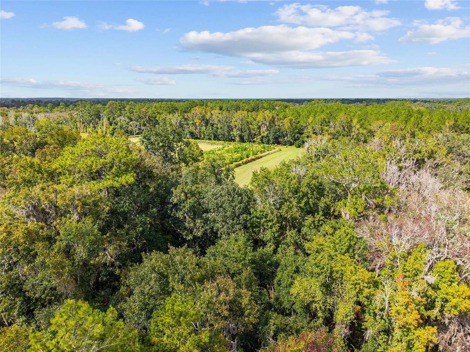 Image 11 of 38 For 8543 71 Terrace