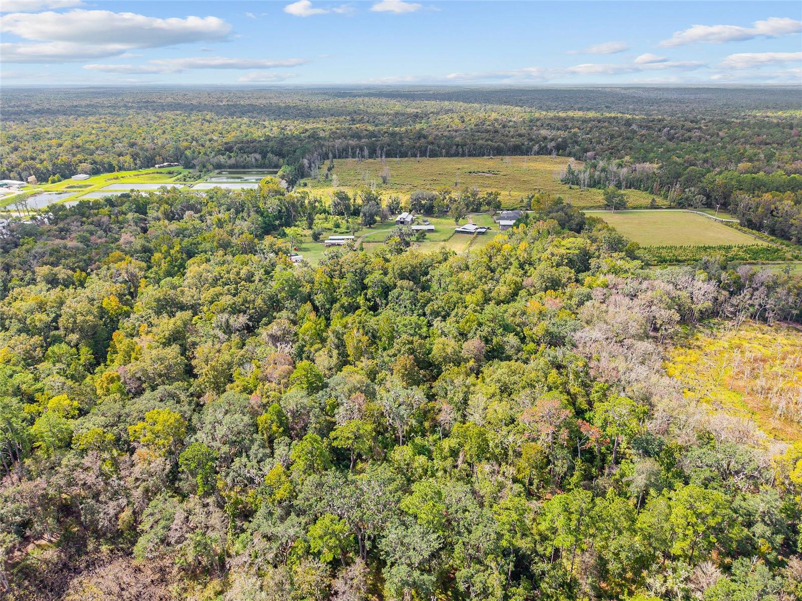 Image 17 of 38 For 8543 71 Terrace