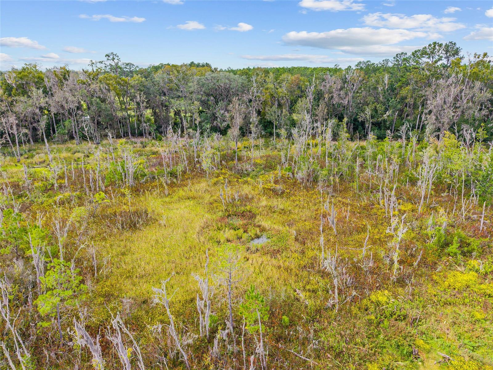 Image 19 of 38 For 8543 71 Terrace