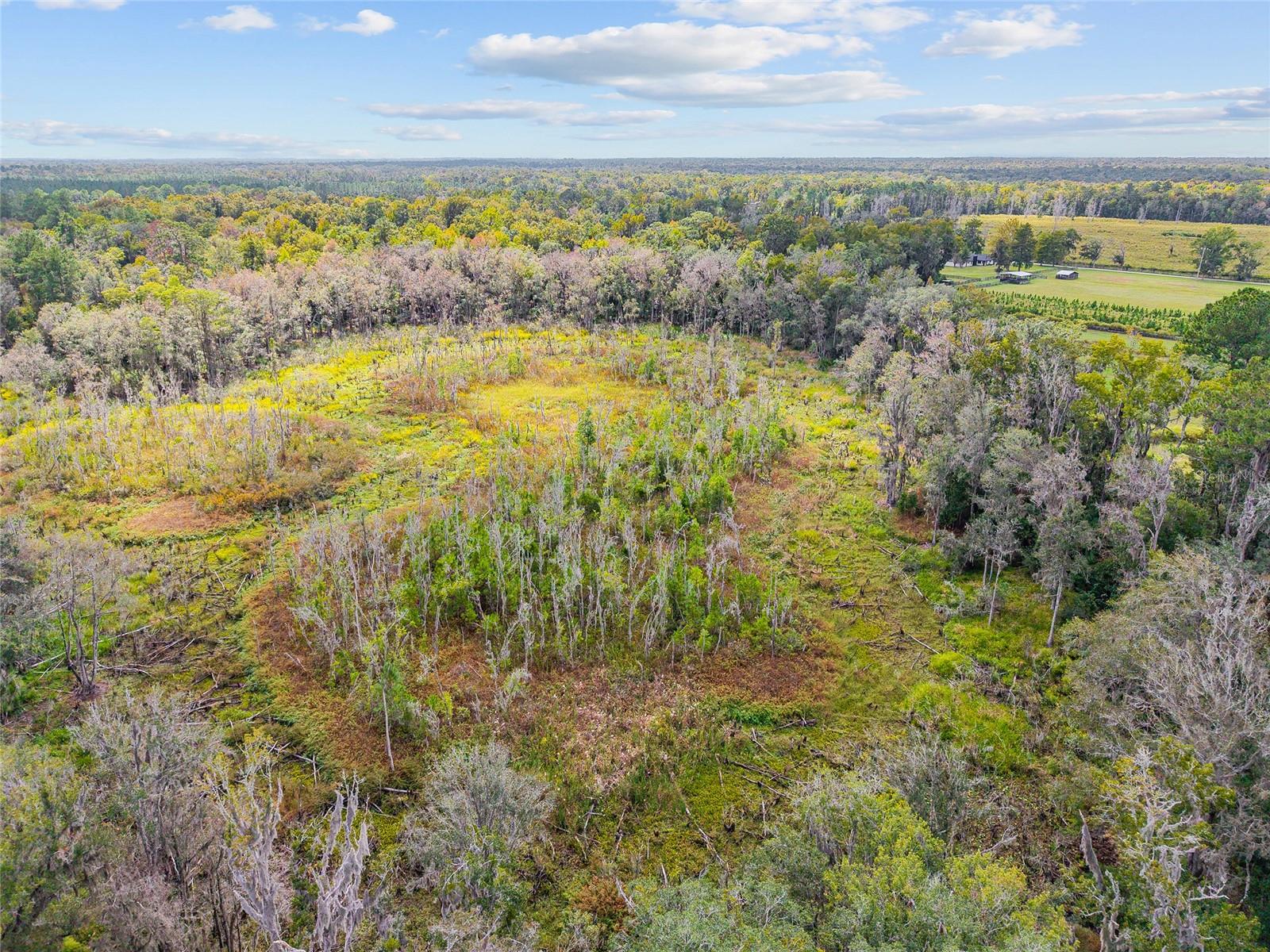 Image 21 of 38 For 8543 71 Terrace