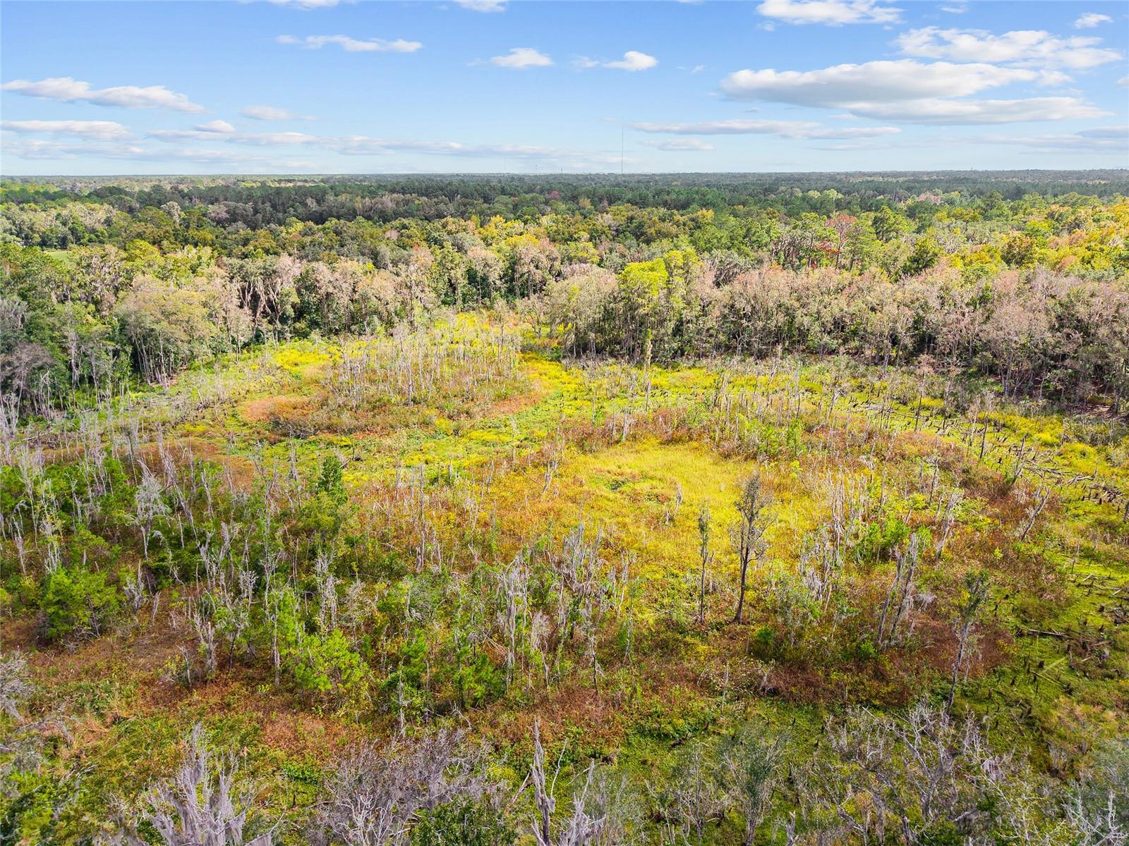 Image 22 of 38 For 8543 71 Terrace